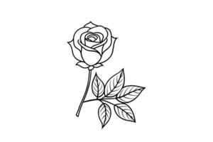 Rose flower for design element and coloring book pages for kids vector
