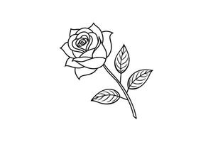 Rose flower for design element and coloring book pages for kids vector