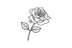 Rose flower for design element and coloring book pages for kids vector