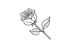 Rose flower for design element and coloring book pages for kids vector
