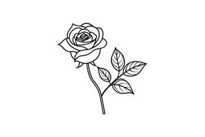 Rose flower for design element and coloring book pages for kids vector