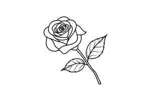 Rose flower for design element and coloring book pages for kids vector