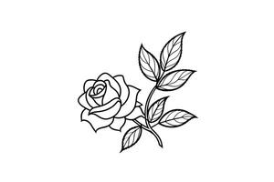 Rose flower for design element and coloring book pages for kids vector