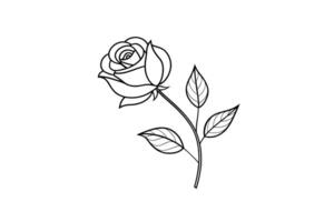 Rose flower for design element and coloring book pages for kids vector