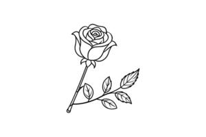 Rose flower for design element and coloring book pages for kids vector