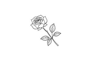 Rose flower for design element and coloring book pages for kids vector