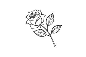 Rose flower for design element and coloring book pages for kids vector