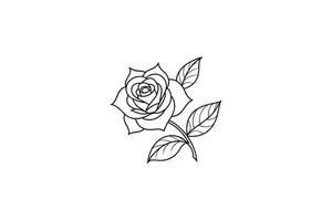Rose flower for design element and coloring book pages for kids vector