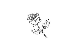 Rose flower for design element and coloring book pages for kids vector