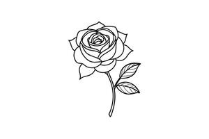 Rose flower for design element and coloring book pages for kids vector