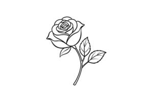 Rose flower for design element and coloring book pages for kids vector