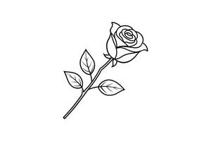 Rose flower for design element and coloring book pages for kids vector