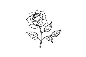 Rose flower for design element and coloring book pages for kids vector