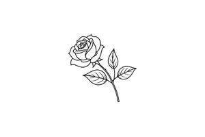 Rose flower for design element and coloring book pages for kids vector