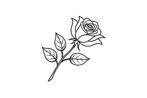 Rose flower for design element and coloring book pages for kids vector