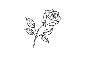 Rose flower for design element and coloring book pages for kids vector