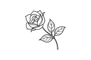 Rose flower for design element and coloring book pages for kids vector