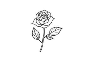 Rose flower for design element and coloring book pages for kids vector