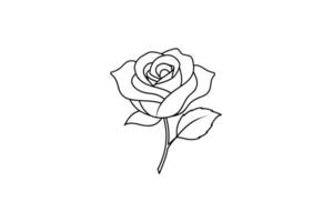 Rose flower for design element and coloring book pages for kids vector