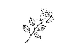 Rose flower for design element and coloring book pages for kids vector