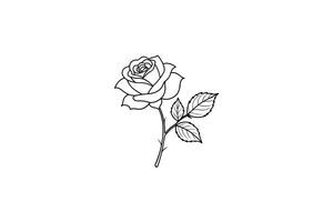 Rose flower for design element and coloring book pages for kids vector