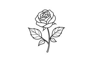 Rose flower for design element and coloring book pages for kids vector