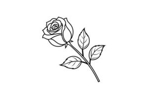 Rose flower for design element and coloring book pages for kids vector