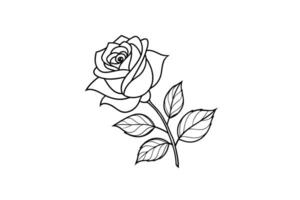 Rose flower for design element and coloring book pages for kids vector