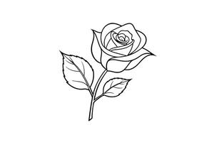 Rose flower for design element and coloring book pages for kids vector