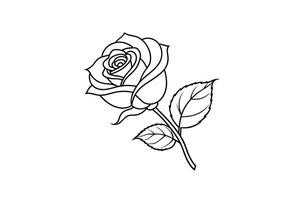 Rose flower for design element and coloring book pages for kids vector