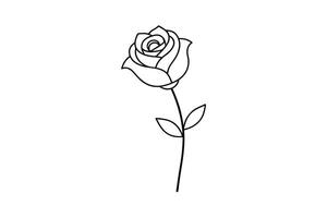 Rose flower for design element and coloring book pages for kids vector