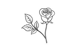 Rose flower for design element and coloring book pages for kids vector