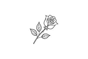 Rose flower for design element and coloring book pages for kids vector