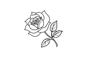 Rose flower for design element and coloring book pages for kids vector