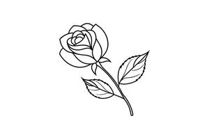 Rose flower for design element and coloring book pages for kids vector