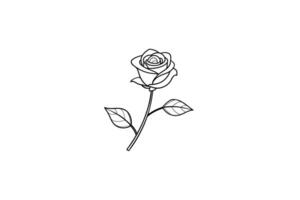 Rose flower for design element and coloring book pages for kids vector