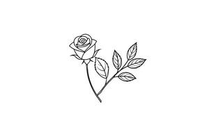 Rose flower for design element and coloring book pages for kids vector