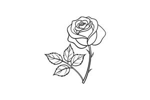 Rose flower for design element and coloring book pages for kids vector