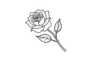 Rose flower for design element and coloring book pages for kids vector