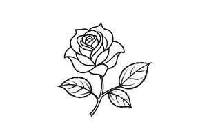 Rose flower for design element and coloring book pages for kids vector