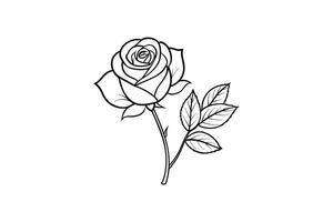 Rose flower for design element and coloring book pages for kids vector