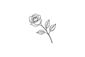 Rose flower for design element and coloring book pages for kids vector