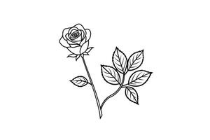 Rose flower for design element and coloring book pages for kids vector