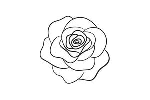 Rose flower for design element and coloring book pages for kids vector
