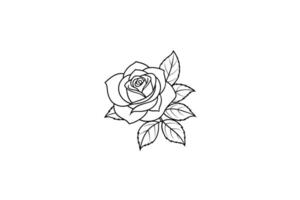 Rose flower for design element and coloring book pages for kids vector