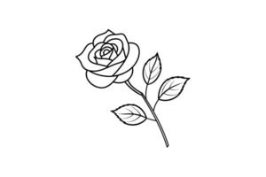 Rose flower for design element and coloring book pages for kids vector
