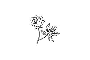 Rose flower for design element and coloring book pages for kids vector