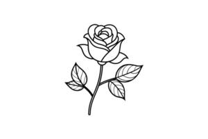 Rose flower for design element and coloring book pages for kids vector