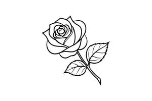 Rose flower for design element and coloring book pages for kids vector