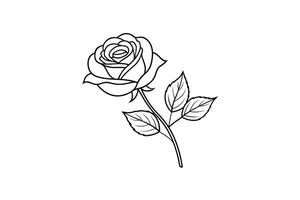 Rose flower for design element and coloring book pages for kids vector